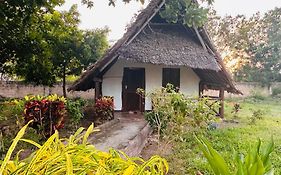 Zanzi Rest Bungalow